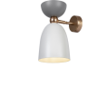 Настенный светильник (бра) MAYTONI CLOCHES MOD113WL-01W